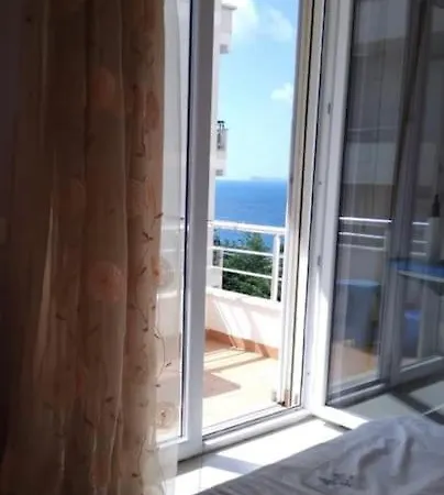 Ami * Vlore